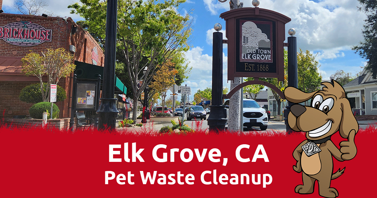 Dog Poop Clean Up & Removal | Elk Grove, CA | Doo Doo Squad