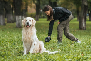 Dog owner picking up their dog's poop in the park