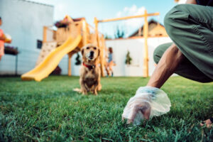 Homeowner diligently picking up after their dog
